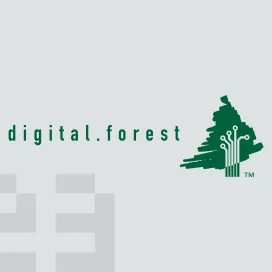 Digital Forest